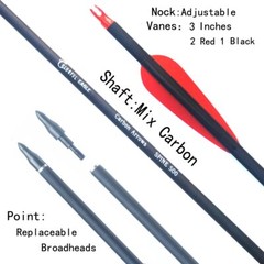 Carbon Arrow 28/30/31 Inches Length Spine 500 with Replaceable Arrowhead