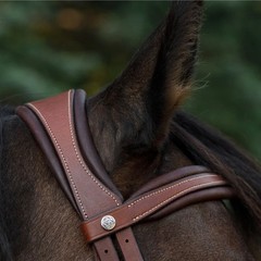 Commonwealth Soft english bridle with Flash