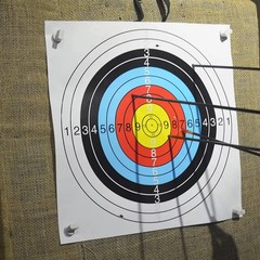Archery Targets Paper Bow and Arrow Targets for Hunting Backyard Practice