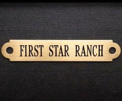 SADDLE PLATE 2 1/2″ x 3/8″ Custom Engraved Solid Brass Bridle or Brow