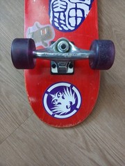 Purple Skunk Board