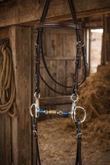 Stainless Steel 3-Piece Dog Bone Snaffle Baucher Bit w/ Copper Rings 35433