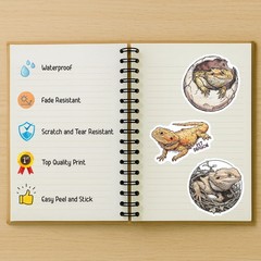 100 Pack Bearded Dragon Stickers (Large Size), Bearded Dragon Graphic Decal S…