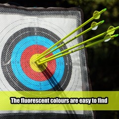 Carbon Arrow Archery 30inch Bright Colors Hunting Target Practice Arrows for …