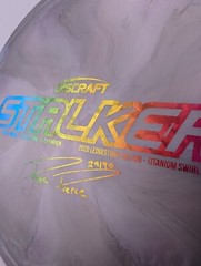 Discraft 2020 Paige Pierce Ledgestone Titanium Swirl Stalker Rainbow Shatter 178