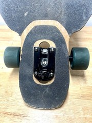 2013 Arbor The Catalyst 38 Skateboard Chief Native American Max Neutra Board