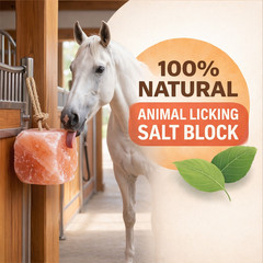 Himalayan Salt Lick Block with Rope 5-6 lb Multi Pack for Horses & Livestock