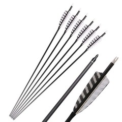 32 Inch Carbon Archery Arrows，Spine 400 with Removable Tips, 4inch Turkey