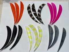 5″ New-50pack FREE SHIPPING! Right Wing Real Turkey Feather forArrows and Darts