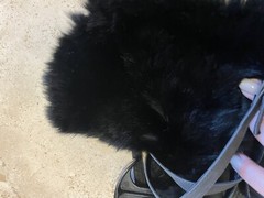 VGUC Gucci Gray Suede Over knee With Fur riding boots SZ 38 $1270 Adorable!!!