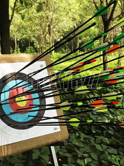 Outdoor 31″ Fiberglass Arrows 24PCS Archery Target Arrows Practice Shooting