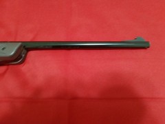 daisy bb gun rifle