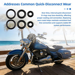 O-Ring Kit Compatible with Harley-Davidson Fuel Line Quick Disconnect Used on Ma
