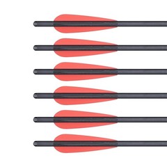 20″ Crossbow Arrows +/OR 100 Grain Broadheads Archery Hunting Arrowheads Bolts