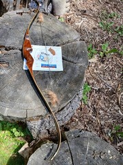 Vintage Browning Archery Nomad 1 recurve 49#