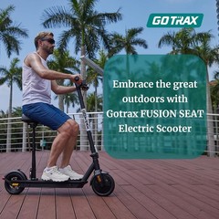 Lightweight Fusion Seat Scooter with 300W Motor – 8.5″ Tires, 264 lbs Capacity