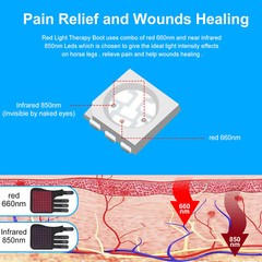 Red Light LED Therapy Leg Wrap for Horses