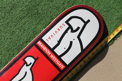 Element Brandon Westgate Dog Cat Pro Model Red 8x31in. Vintage SKATEBOARD DECK