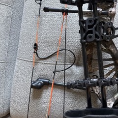 bear paradox compound bow