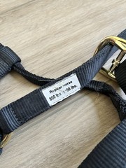 Bronc-Style Horse Halters Rodeo Leather Brass Nosebands GSRA 2016 Custom
