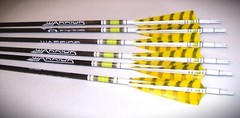 Goldtip warriors arrows for Traditional archery