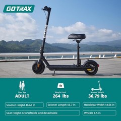 Lightweight Fusion Seat Scooter with 300W Motor – 8.5″ Tires, 264 lbs Capacity
