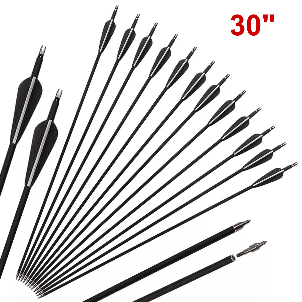 12Pcs 30″ Fiberglass Archery Arrows Spine 500 with Removable Tips Hunting Target
