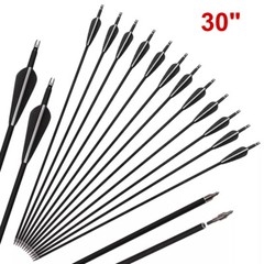12Pcs 30″ Fiberglass Archery Arrows Spine 500 with Removable Tips Hunting Target