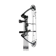Compound Bow Draw Weight 0-70 Lbs for Pull Beginner and Intermediate Archer F…