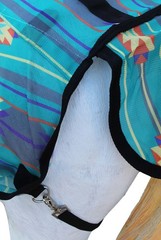 Challenger Horse Mesh Summer Scrim Sheet Fly Sheet Spring Airflow Neck Teal