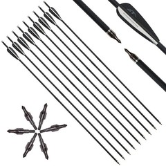 Adjustable 30-70lbs Compound Bow 12xArrows Set for Adult Target Hunting Shooting