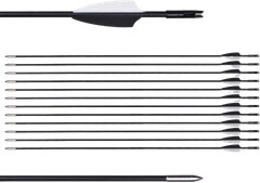 Outdoor 31″ Fiberglass Arrows 24PCS Archery Target Arrows Practice Shooting