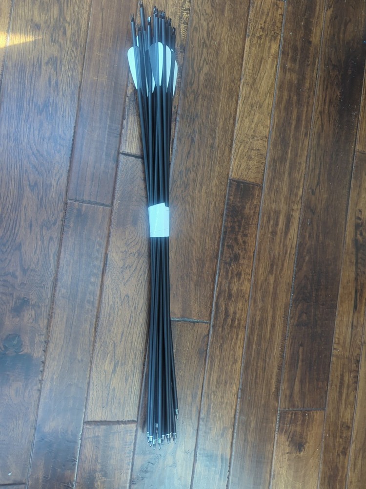 12 31″ Aluminum Arrows With Practice Tips And Fletchings And Nocks