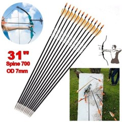 12Pcs 31 Inch Archery Fiberglass Target Practice Arrows for Recurve Compound Bow