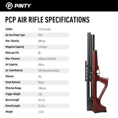 PINTY NEW PCP Pellet Gun 800 FPS Air Rifle .22 Caliber 9 Pellet Air Rifle