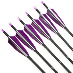 12pc 30″ Carbon Arrows Turkey Feathers SP500 Compound Recurve Bow Hunting Target