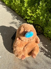 Capybara Snore Chalk Bag