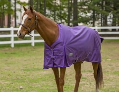Tuffrider JPC Equestrian Inc Purple 84″ 600D Comfy Winter Horse Blanket Coat