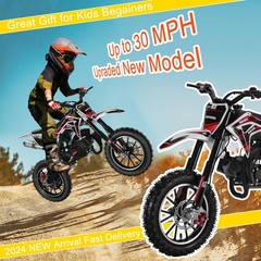 Gas Dirt Bikes Mini Dirt Bike 50CC 2-Stroke Gas Bike Motocross Moto for Kids