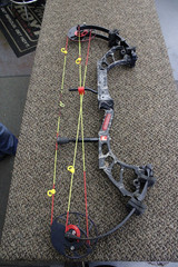 PSE Dream Season Evo (Marked 55# – scaling to 47#)