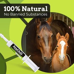 SynChill Oral Horse , 100% Natural Cognitive Support, Helps Maintain Focus & …