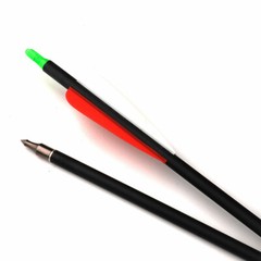 12PCS 28-inch Carbon Arrows SP500 Archery Hunting For Compound & Recurve Bow
