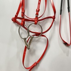 Horse English Tack Soft Biothane Bridle with Free Reins & Loose Ring Bit