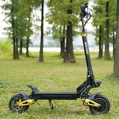 iENYRID ES1 Offroad EScooter 48V20.8Ah Folding Electric Scooter 2400W Dual motor