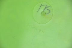 🍏MISPRINT🍏 Discmania S-Line DD3, RARE, Lime Green, 175g