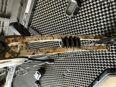 Predator Raptor Compound Bow (left hand) and hard Case