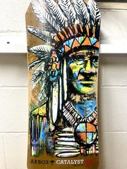 2013 Arbor The Catalyst 38 Skateboard Chief Native American Max Neutra Board