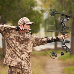 Adjustable 30-70lbs Compound Bow 12xArrows Set for Adult Target Hunting Shooting