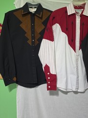 VTG / Modern Women WESTERN Shirt Lot (5) Small L/s Adobe Rose Rockmount ++ Vgc