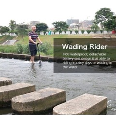 Mankeel Pioneer Electric Scooter Powerful 800W